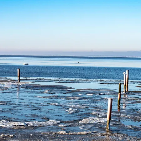 Lachmoewe By Interhome Lejlighed