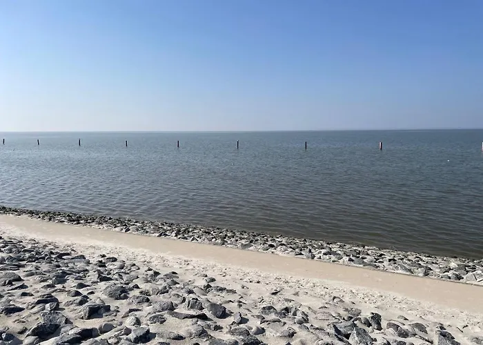 Lachmoewe By Interhome Appartamento